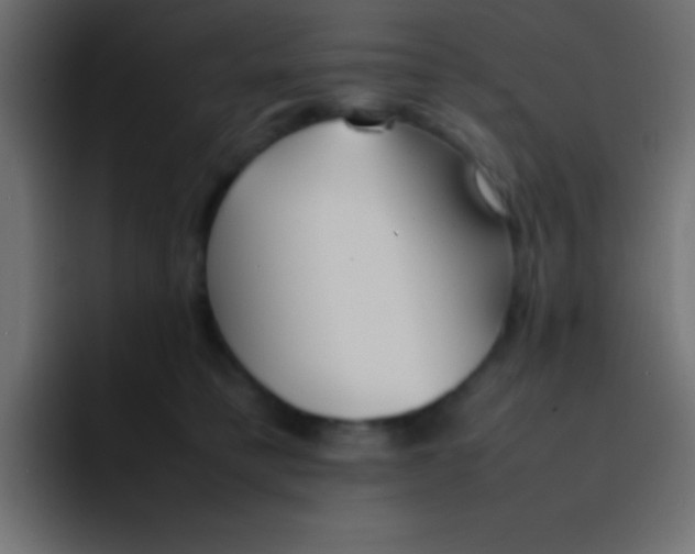 X0000092100421200710031216