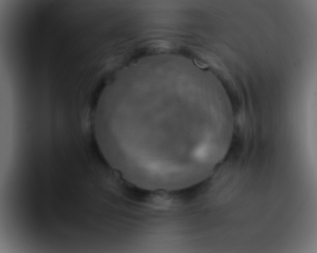 X0000092100423200710031216