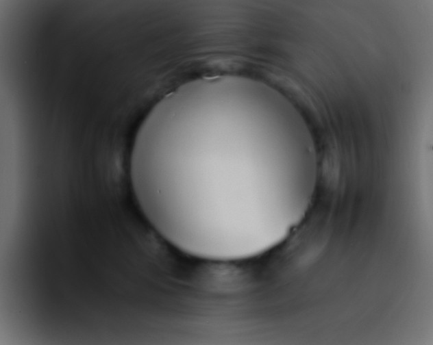 X0000092100424200710031216