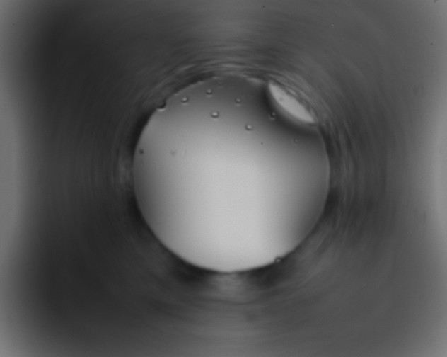 X0000092100425200710031216