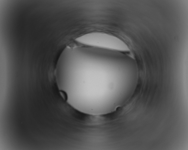 X0000092100429200710031215