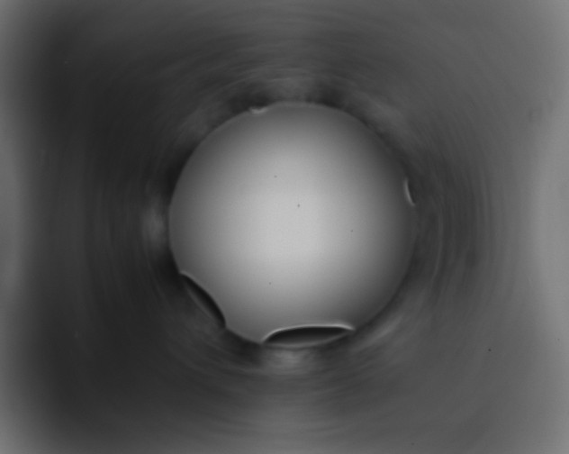 X0000092100432200710031215