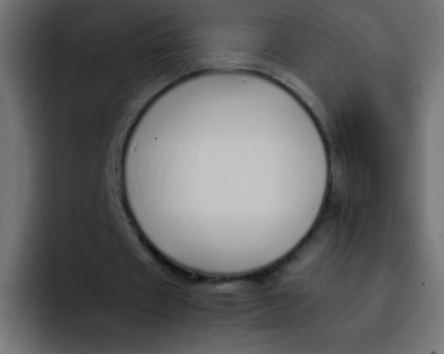 X0000092100433200710031215