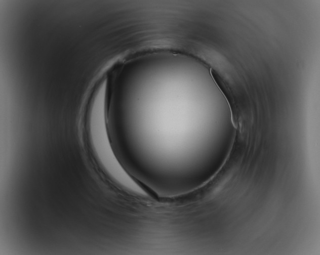 X0000092100436200710031215