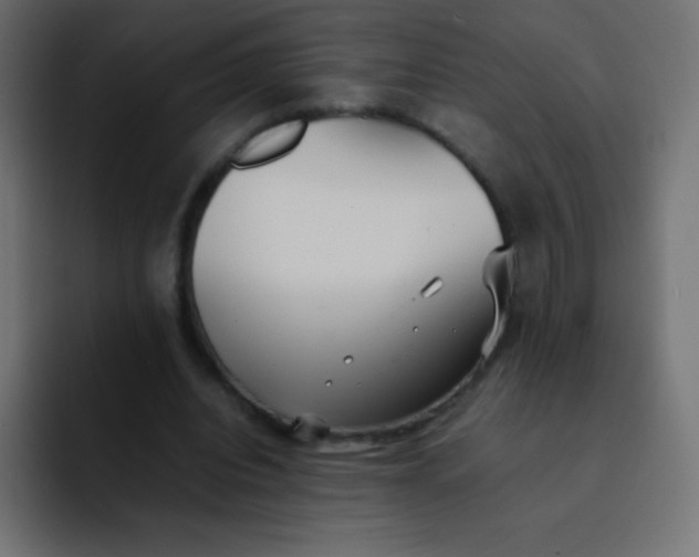 X0000092100440200710031215