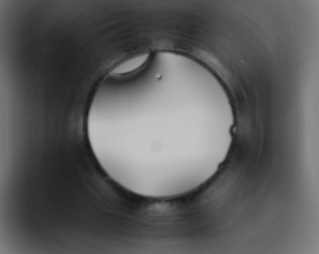 X0000092100441200710031215