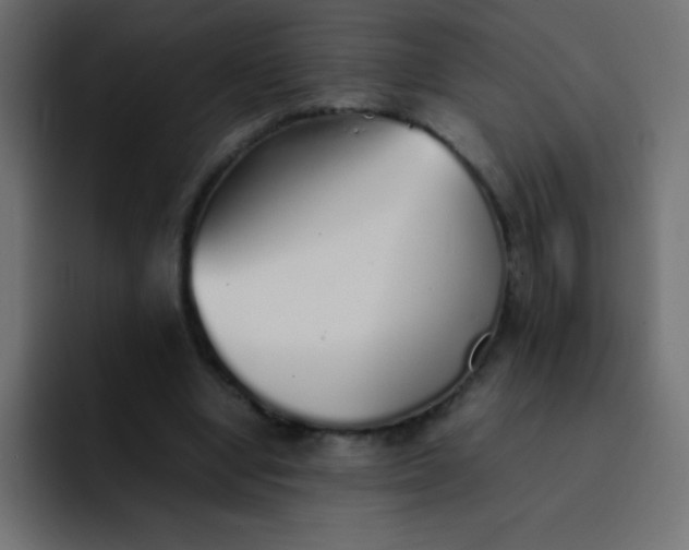 X0000092100442200710031215