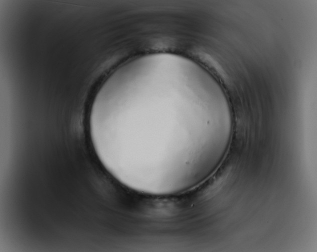 X0000092100443200710031215