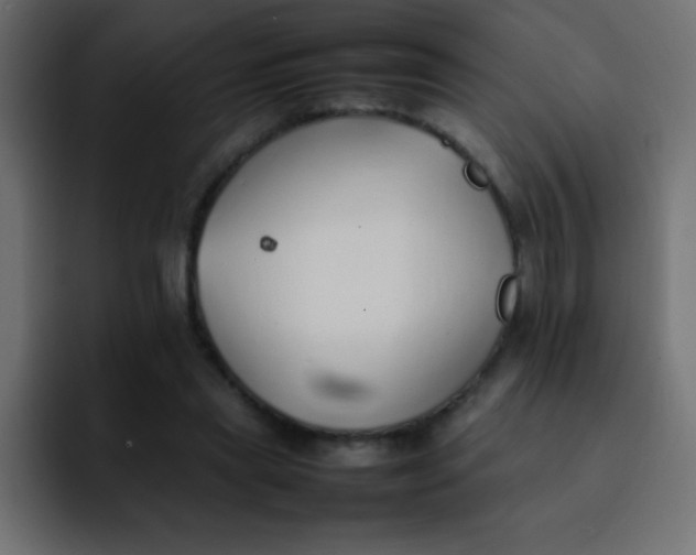 X0000092100445200710031215