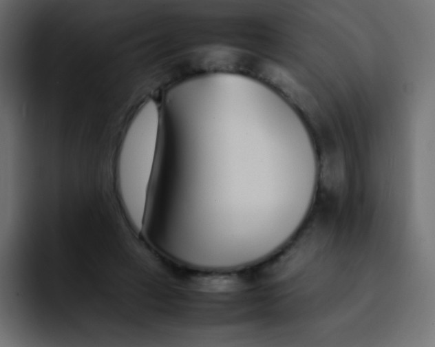 X0000092100449200710031215