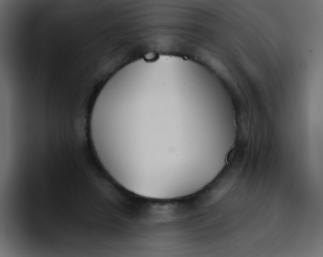 X0000092100450200710031215