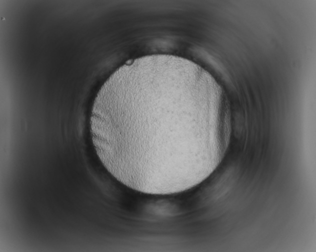 X0000092100451200710031215