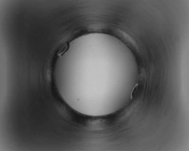 X0000092100452200710031215