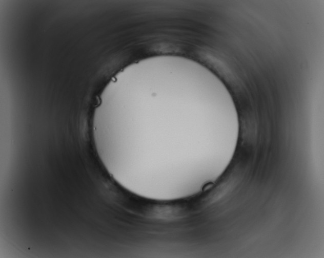 X0000092100453200710031215