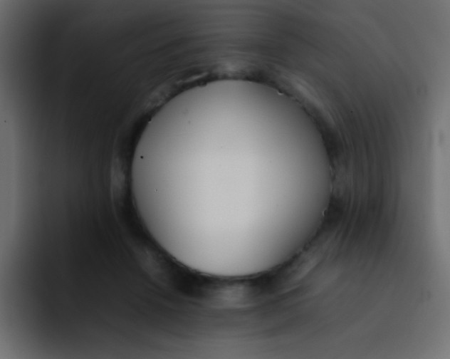 X0000092100456200710031215