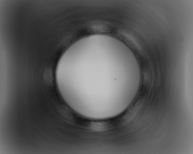 X0000092100457200710031215