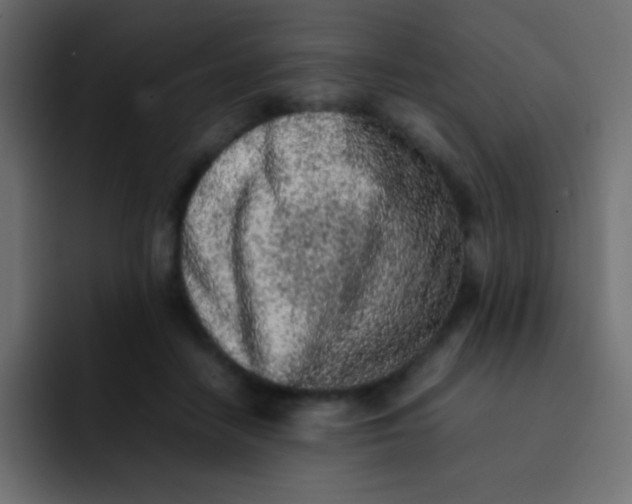 X0000092100458200710031215