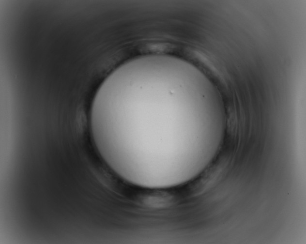 X0000092100459200710031215