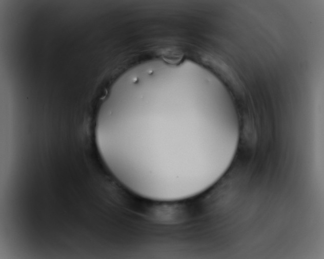 X0000092100461200710031215