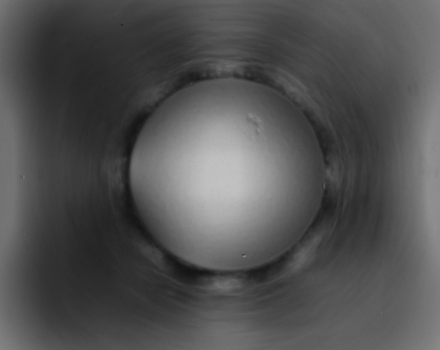 X0000092100462200710031215