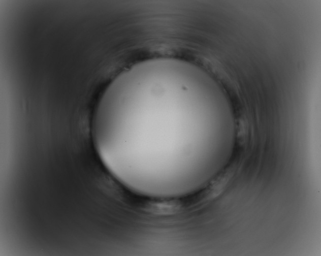 X0000092100466200710031215