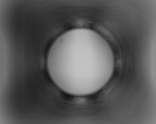 X0000092100469200710031215