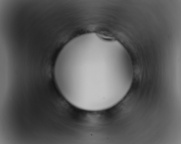 X0000092100470200710031215