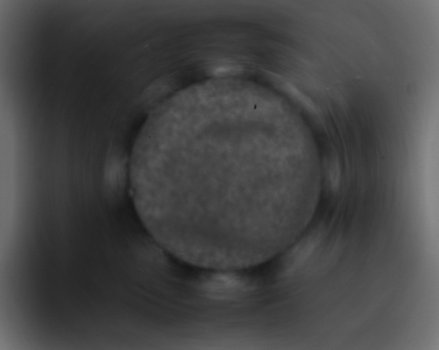 X0000092100475200710031215