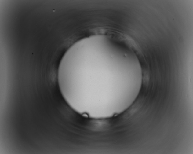 X0000092100477200710031215