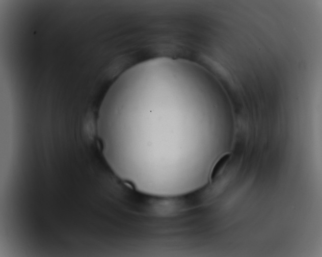 X0000092100479200710031215