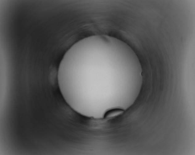 X0000092100480200710031215