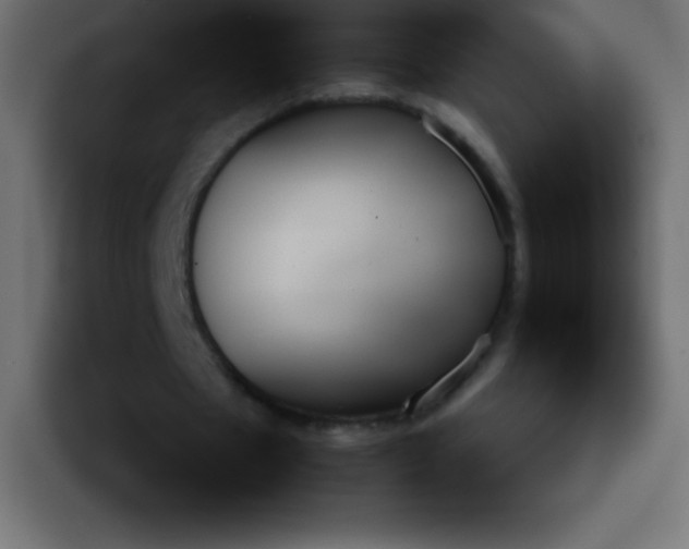 X0000092100481200710031215