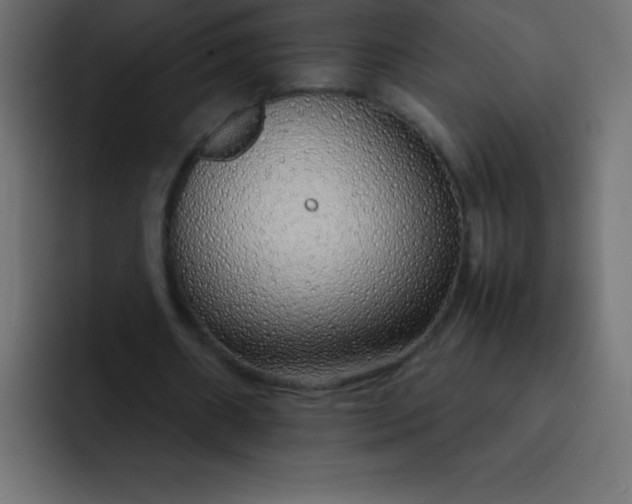 X0000092100482200710031215