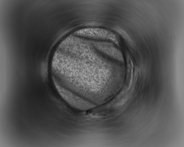 X0000092100484200710031215