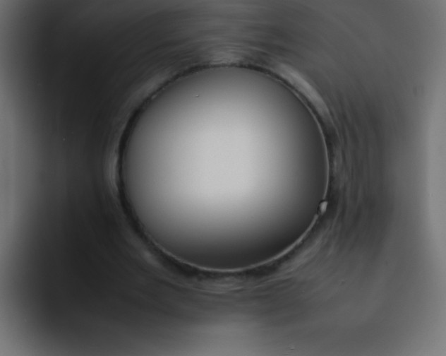 X0000092100485200710031215