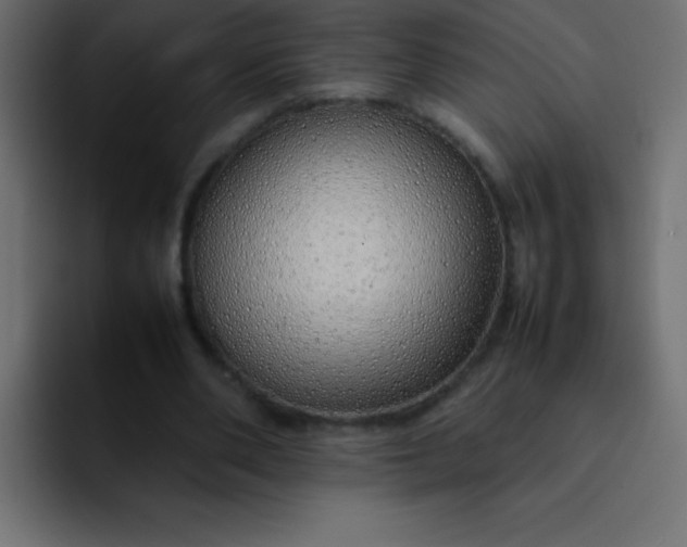 X0000092100486200710031215