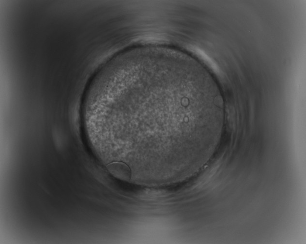 X0000092100487200710031215