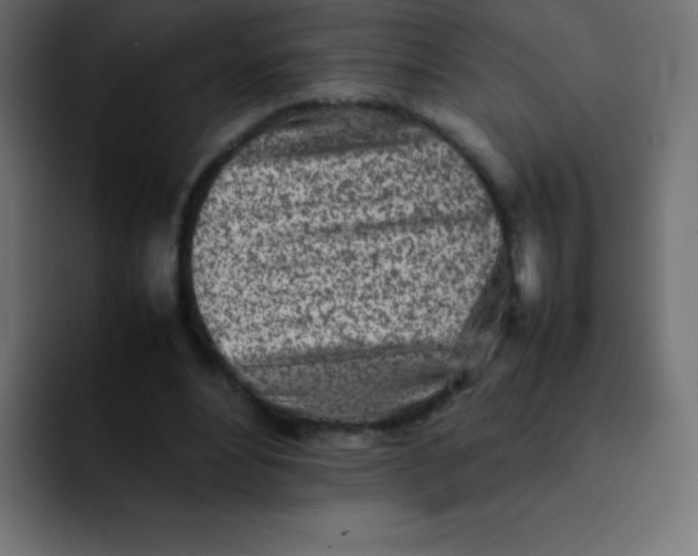 X0000092100488200710031215