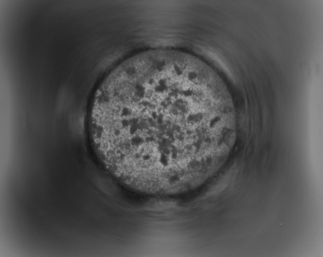 X0000092100491200710031215