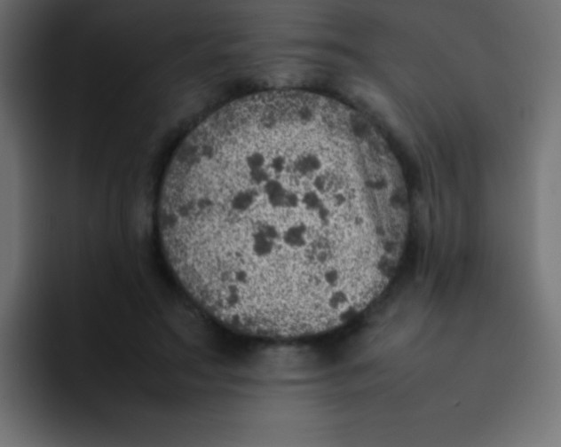 X0000092100499200710031215