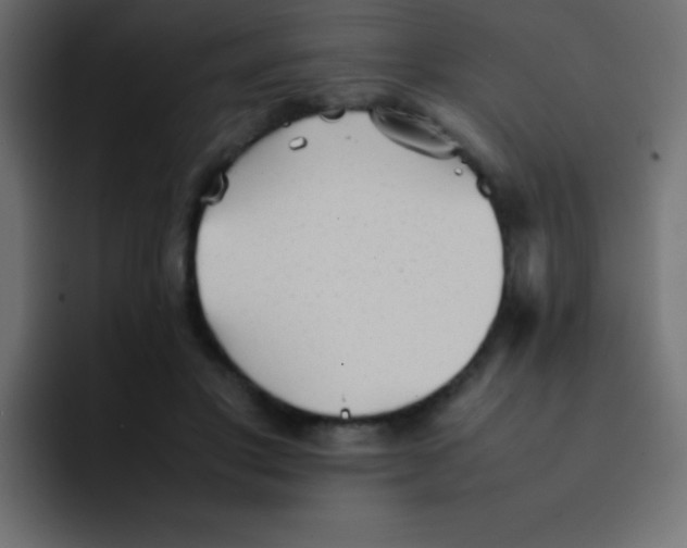 X0000092100501200710031215