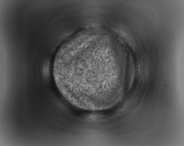 X0000092100504200710031215