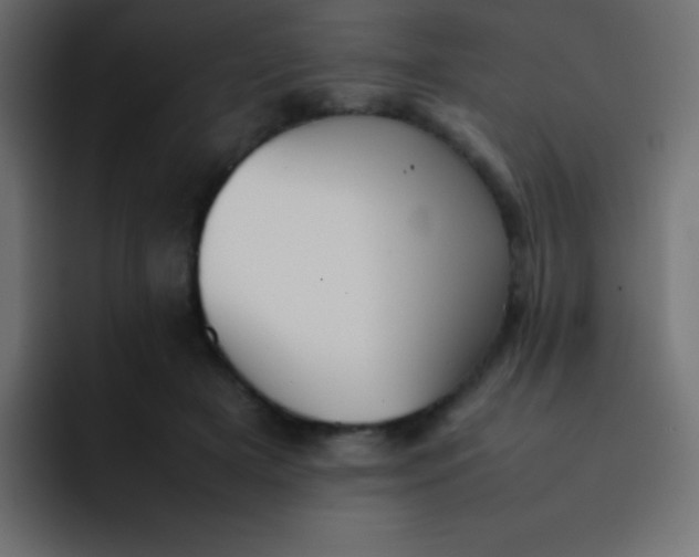 X0000092100505200710031215