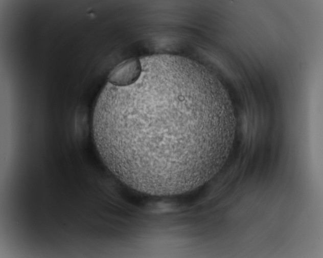 X0000092100506200710031215