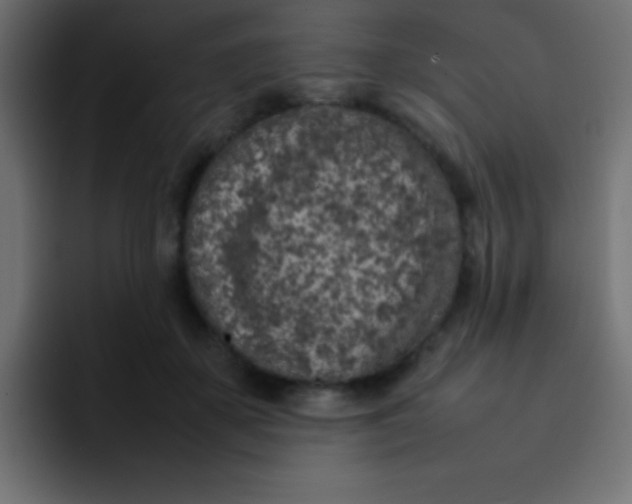 X0000092100507200710031215