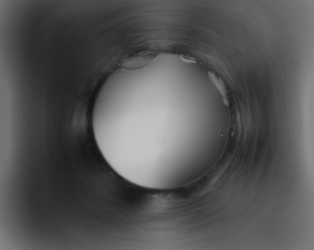 X0000092100508200710031215