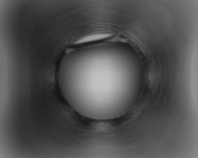 X0000092100512200710031215