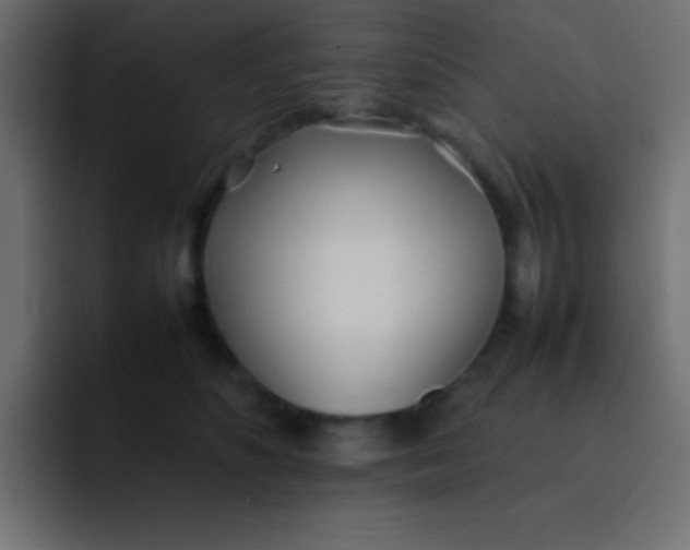 X0000092100516200710031214