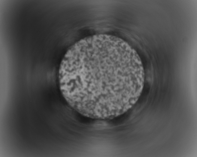 X0000092100519200710031214