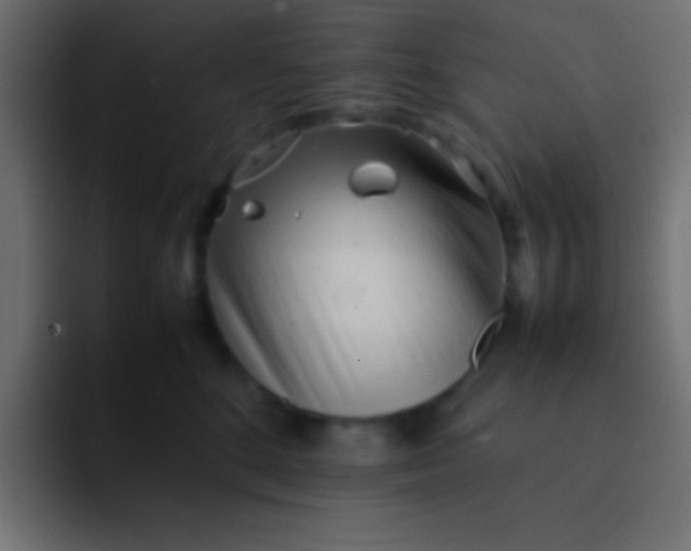 X0000092100520200710031214